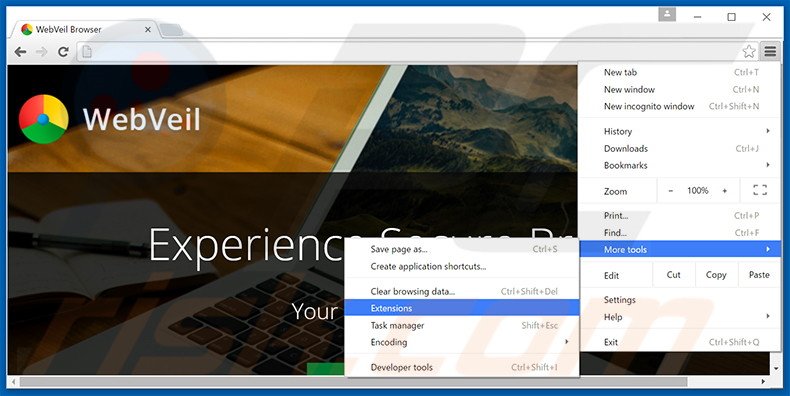 Rimuovere WebVeil adware da Google Chrome step 1