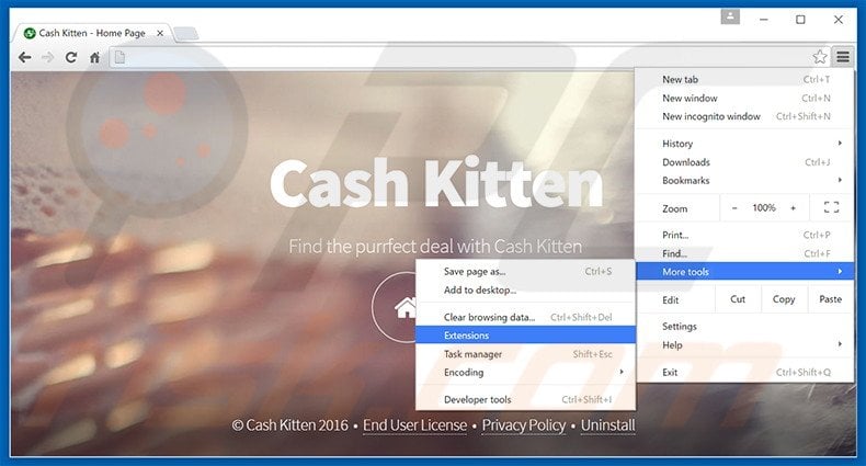 Rimuovere Cash Kitten adware da Google Chrome step 1