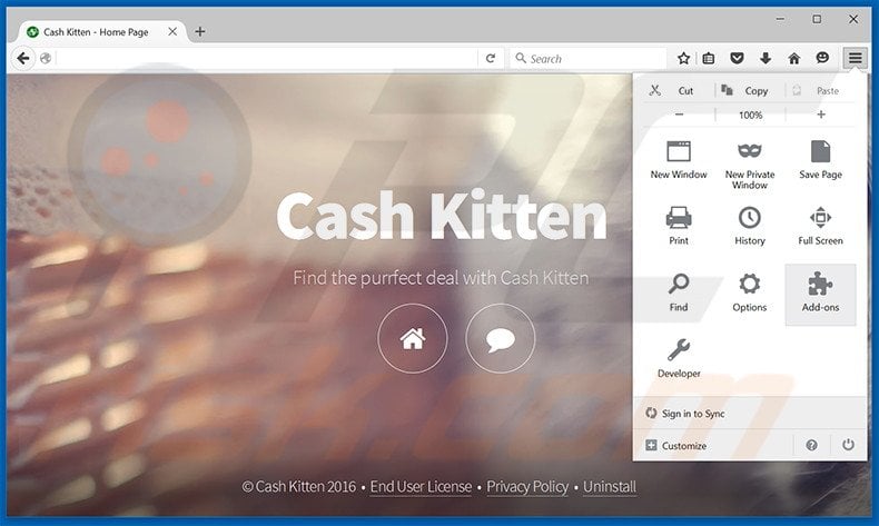 Rimuovere Cash Kitten adware da Mozilla Firefox step 1