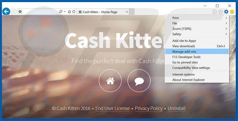 Rimuovere Cash Kitten adware da Internet Explorer step 1