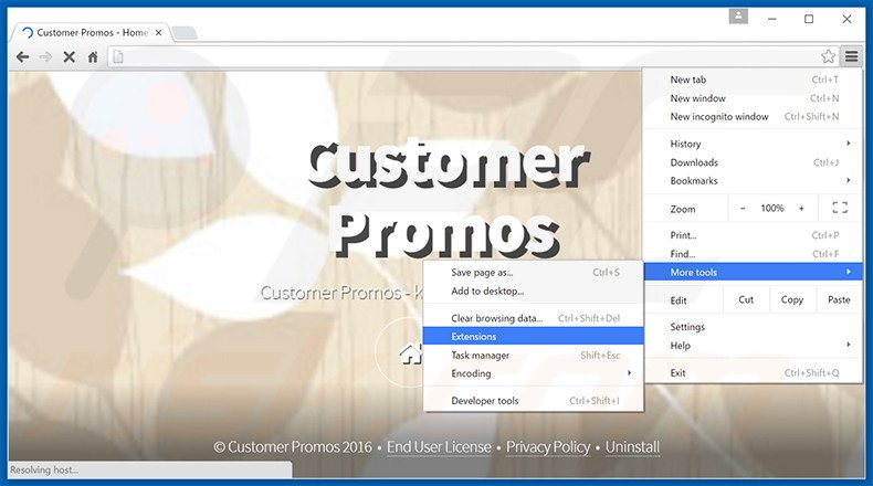 Rimuovere Customer Promos adware da Google Chrome step 1
