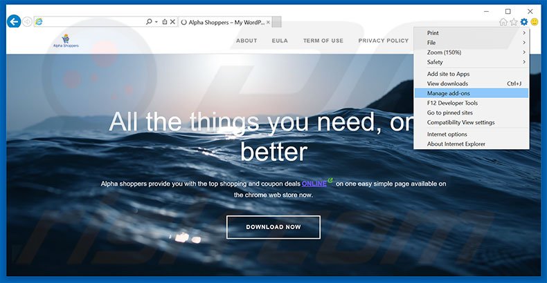 Removing Alpha Shoppers ads from Internet Explorer step 1