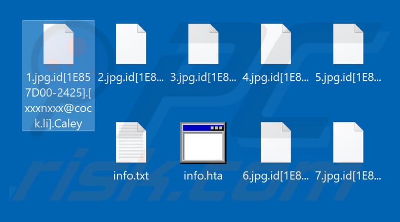 Screenshot dei file criptati da Caleyley