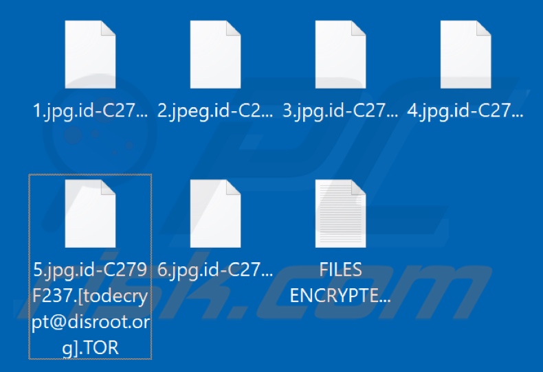 Screenshot dei file crittografati dal ransomware TOR (.TOR)