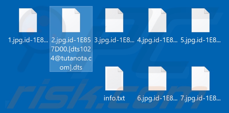 Screenshot dei file crittografati dal ransomware Dts (estensione 
