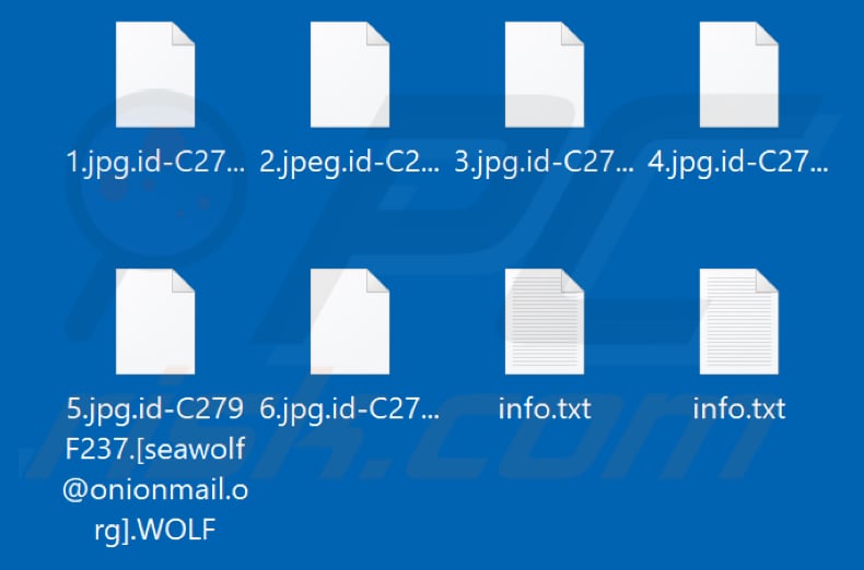 Screenshot dei file criptati da WOLF (