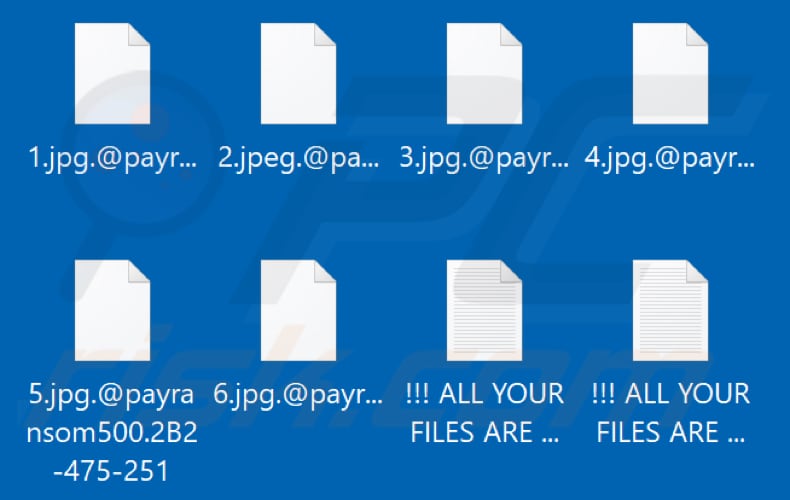 Screenshot dei file crittografati da Payransom500 (.@payransom500.[victim's_ID] )