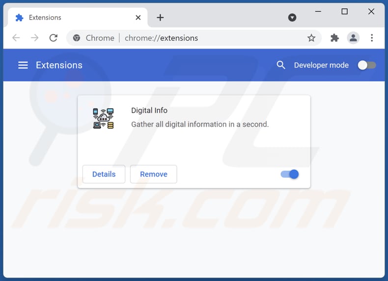Rimuovere Digital Info adware da Google Chrome step 2