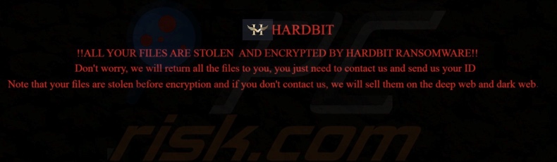 Screenshot dello sfondo del desktop di HARDBIT