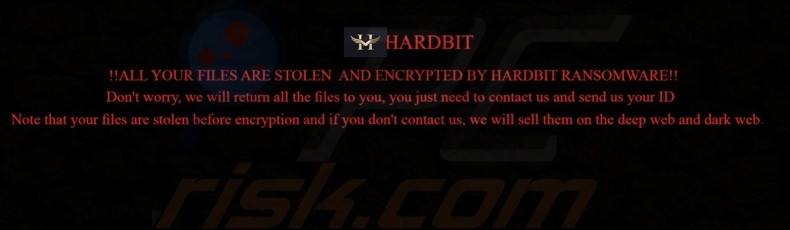 Screenshot dello sfondo del desktop di HARDBIT