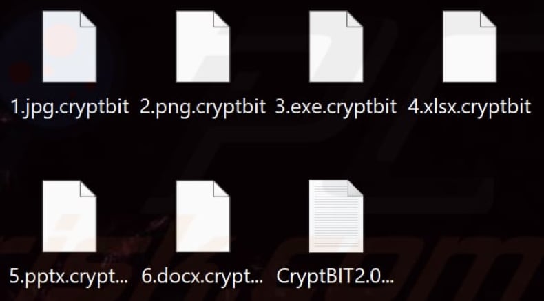 File crittografati dal ransomware CryptBIT 2.0 (estensione .cryptbit)