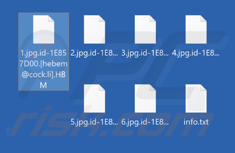 File crittografati da HBM ransomware (estensione .HBM)