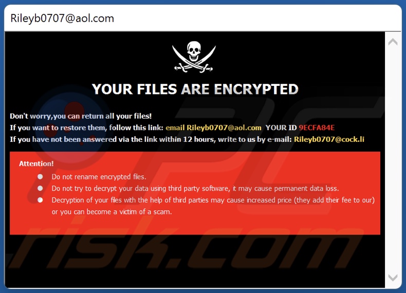 Schermata della finestra pop-up di Nlb ransomware (pop-up)