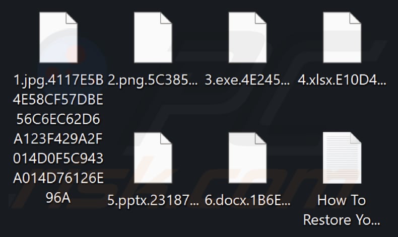 File crittografati da RTM Locker ransomware (estensione casuale)