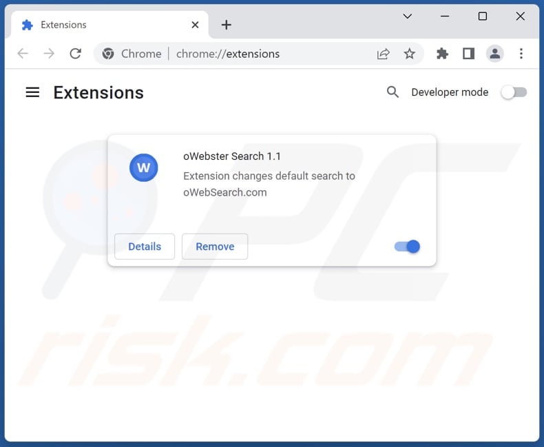 Aspetto alternativo dell'estensione del browser oWebster Search (oWebster Search 1.1)