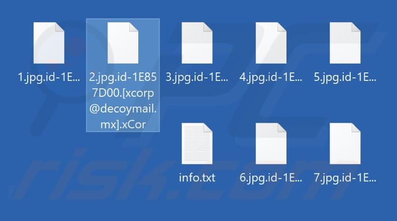 File crittografati da xCor ransomware (estensione .xCor)