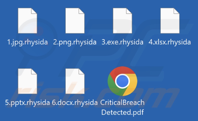 File crittografati da Rhysida ransomware (estensione .rhysida)