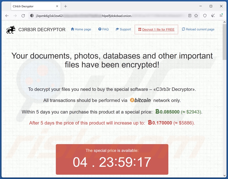 Screenshot del sito web della rete Tor di C3RB3R