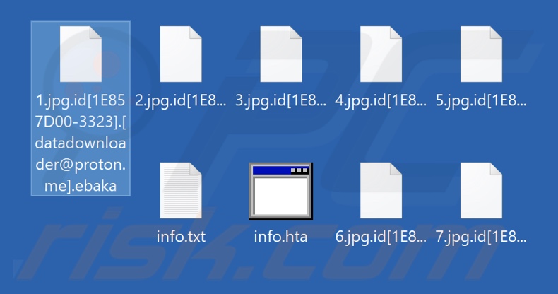 File crittografati dal ransomware Ebaka (estensione .ebaka)