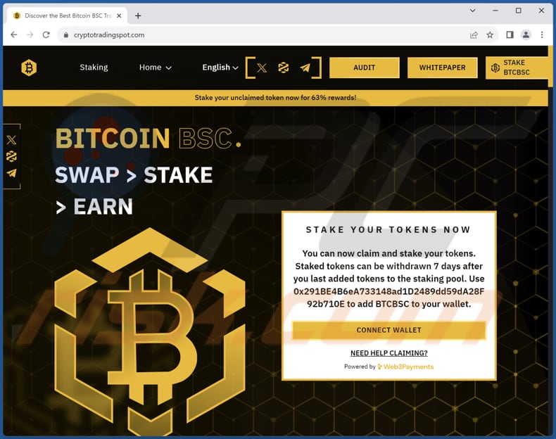 BITCOIN BSC truffa