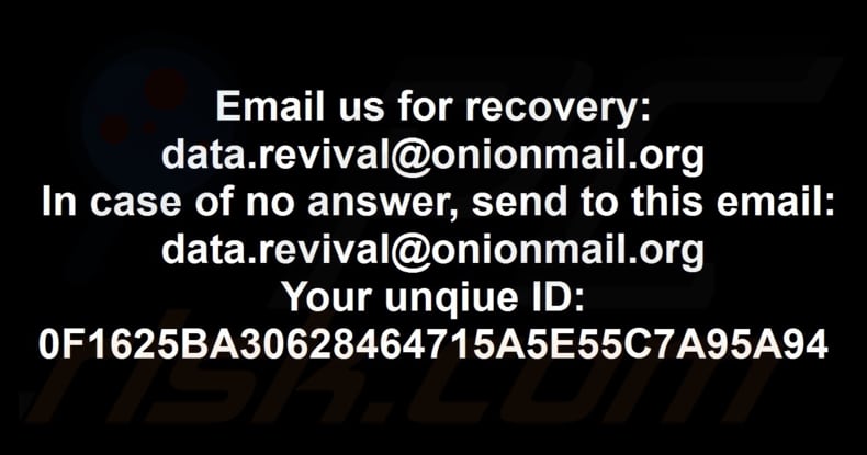 Data ransomware Carta da parati