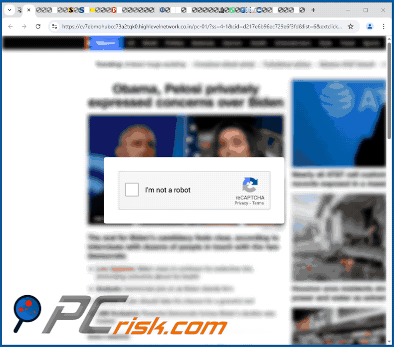 highlevelnetwork.co[.]in aspetto del sito web (GIF)