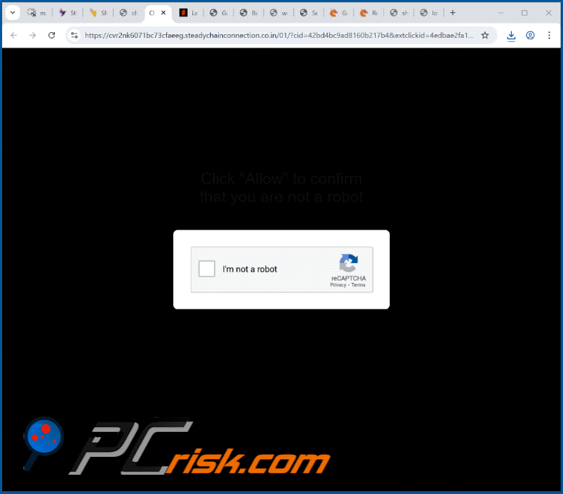 steadychainconnection.co[.]in aspetto del sito web (GIF)