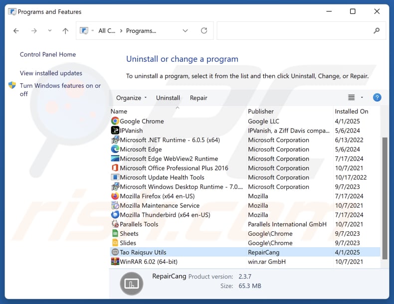Tao Raiqsuv Utils disinstallare via Control Panel