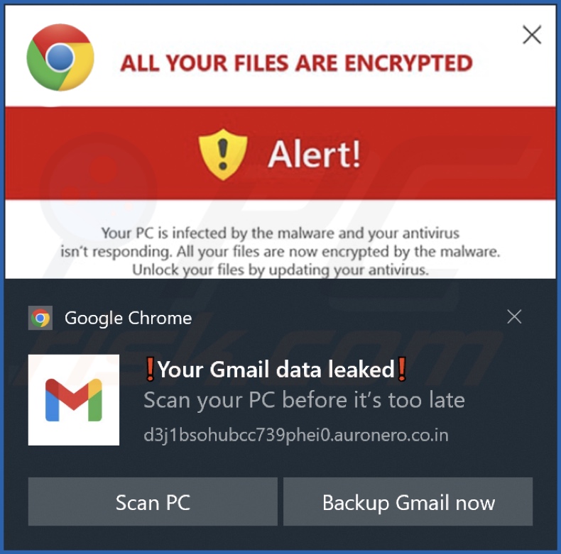 Pubblicità fornita dalla pagina web auronero.co[.]in