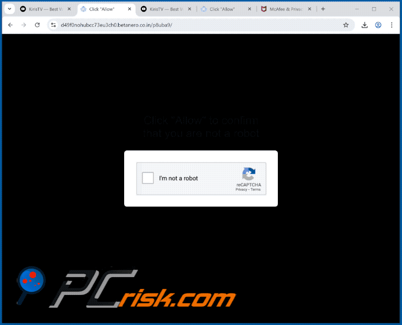 betanero.co[.]in aspetto del sito web (GIF)