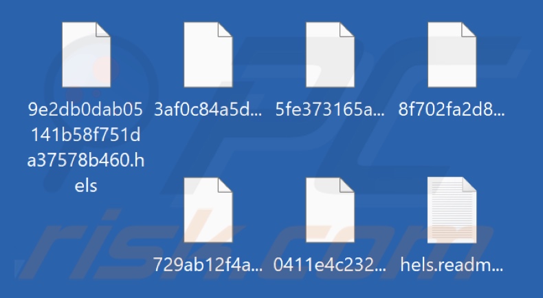 File crittografati dal ransomware BLACK-HEOLAS (estensione .hels)