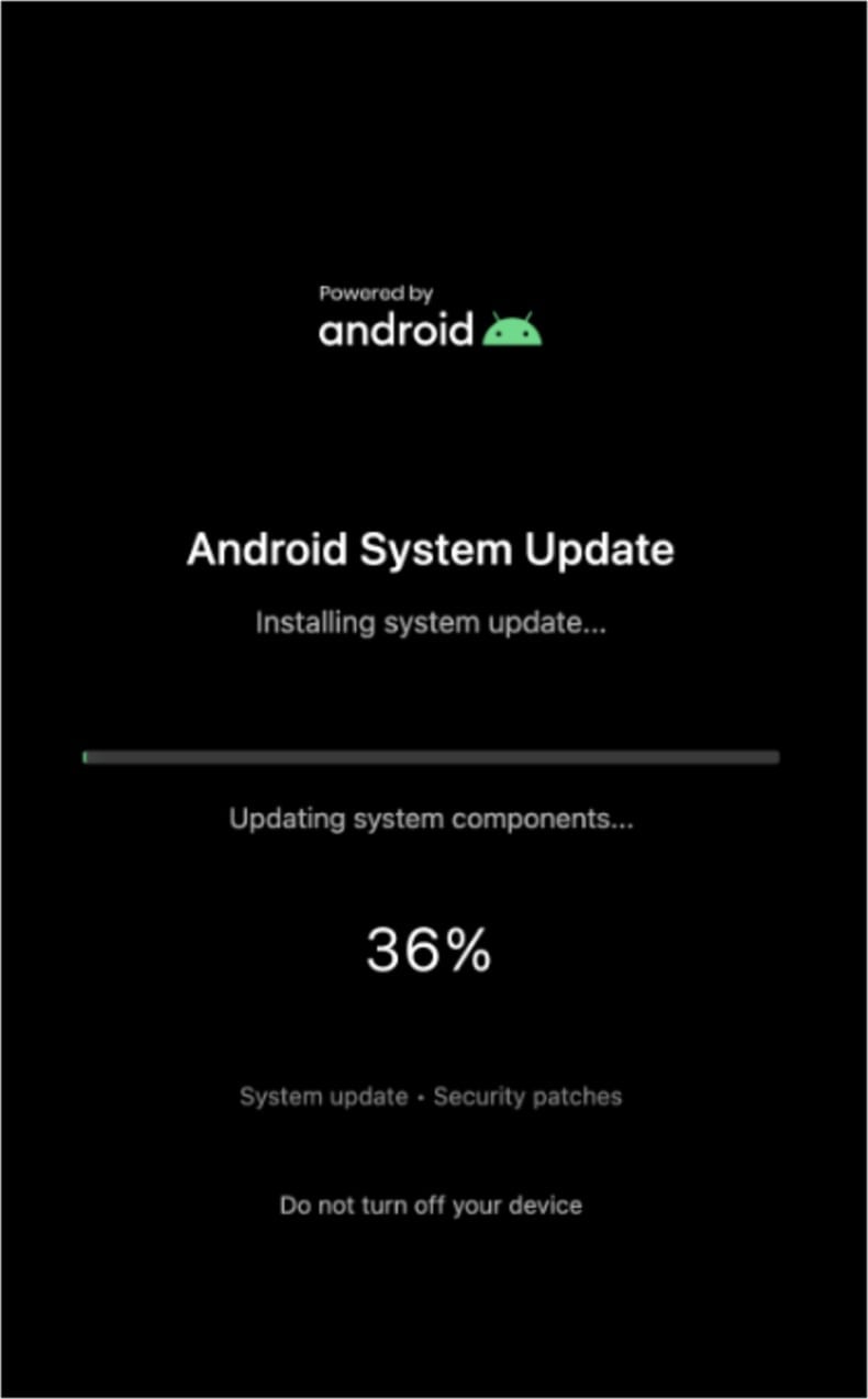 Sturnus banking-trojan schermo che nasconde lo sfondo (fonte threatfabric.com)