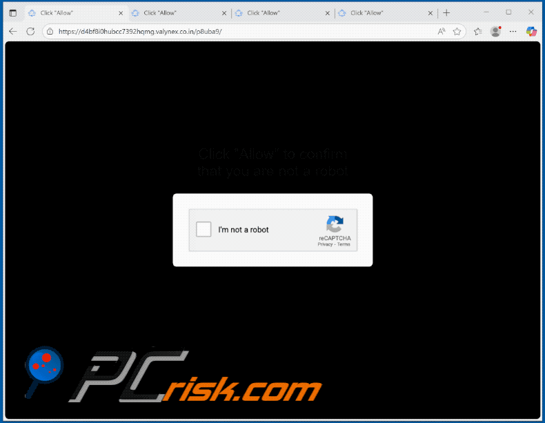 valynex.co[.]in website aspetto (GIF)