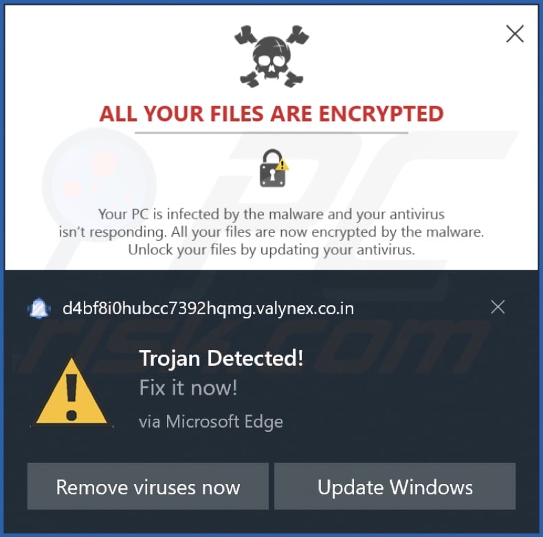 Pubblicità fornita dalla pagina web valynex.co[.]in