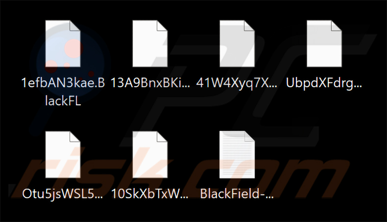 File crittografati da BlackFL (BlackField) (2026-02-11)