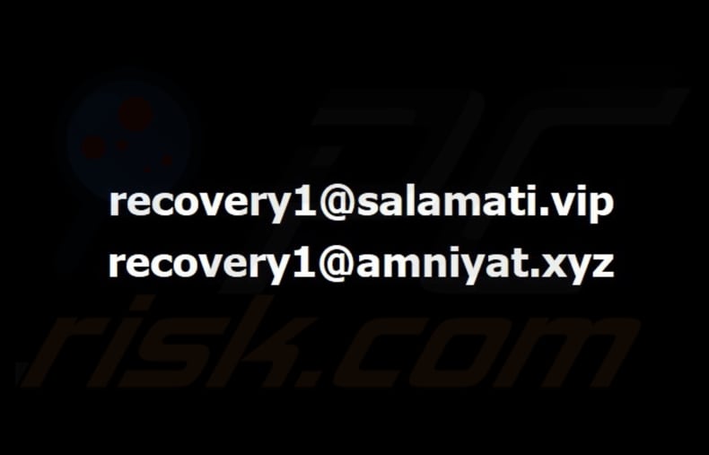 Bear ransomware sfondo