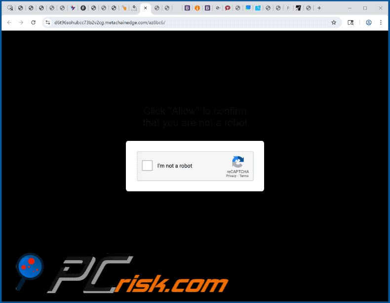metachainedge[.]com aspetto del sito web (GIF)
