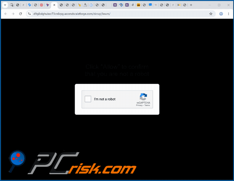 aspetto del sito web ascendscaleforge[.]com (GIF)
