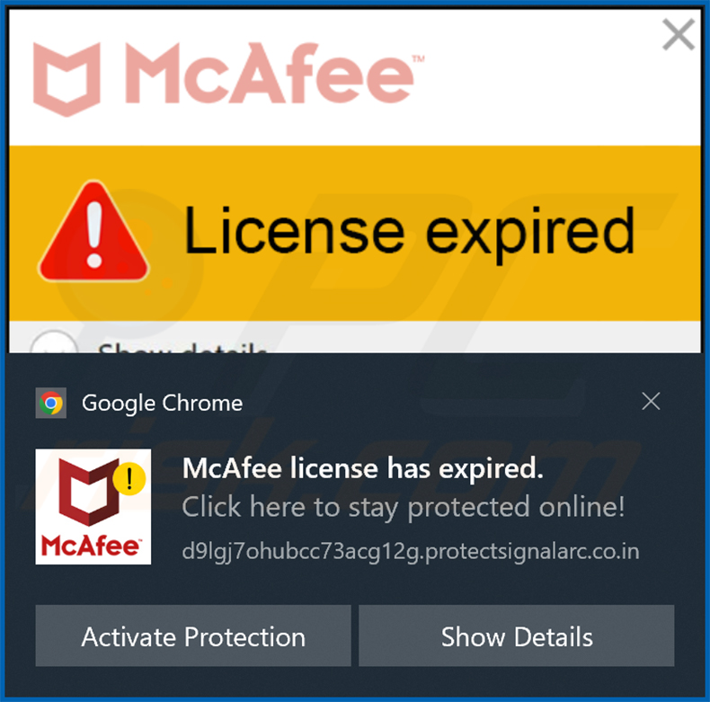 notifica protectsignalarc[.]co.in