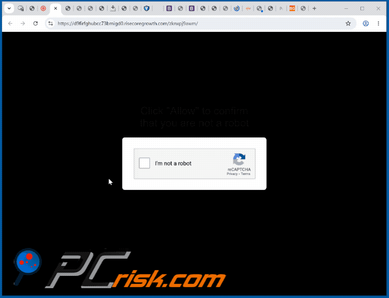 aspetto del sito web risecoregrowth[.]com (GIF)