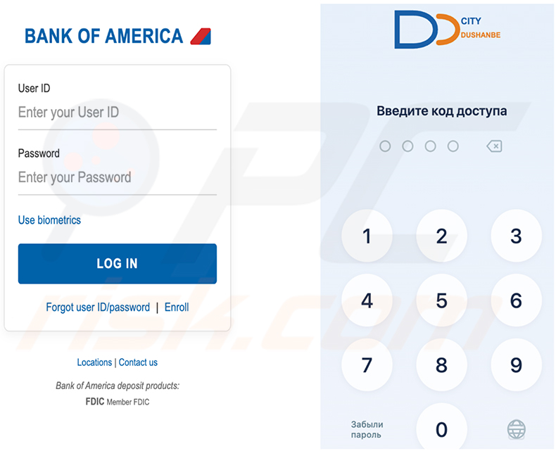 Falsi overlay di RatHat di Bank of America e del PIN bancario