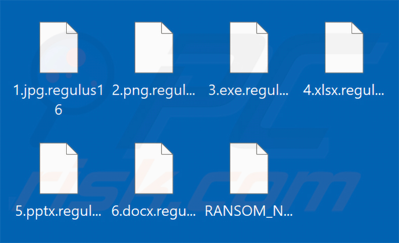File crittografati dal ransomware Regulus (estensione .regulus16)