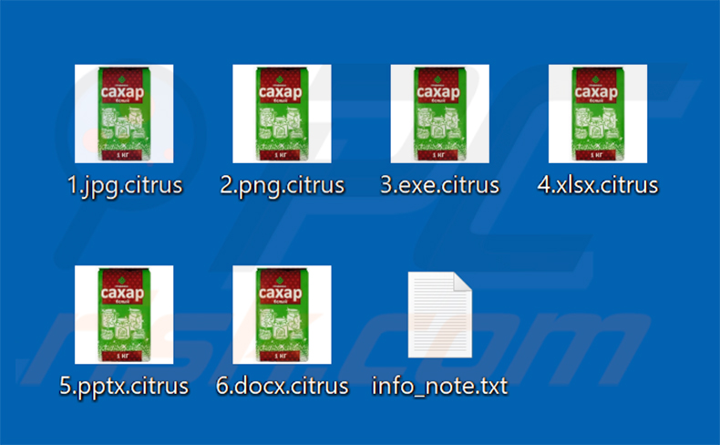 File crittografati dal ransomware Citrus (estensione .citrus)