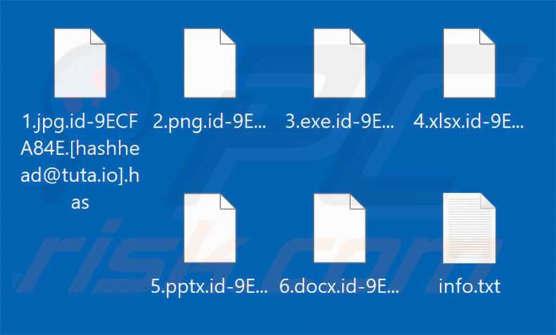 File crittografati dal ransomware Has (estensione .has)