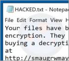 Smaug Ransomware