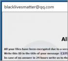 Blm Ransomware