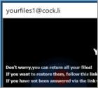 YOUF Ransomware