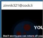 ZIN Ransomware