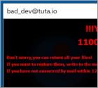 Bdev Ransomware