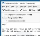 This Is Not A Formal Email Truffa